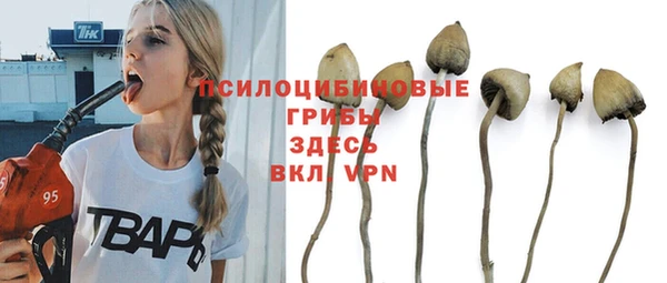 MESCALINE Алзамай
